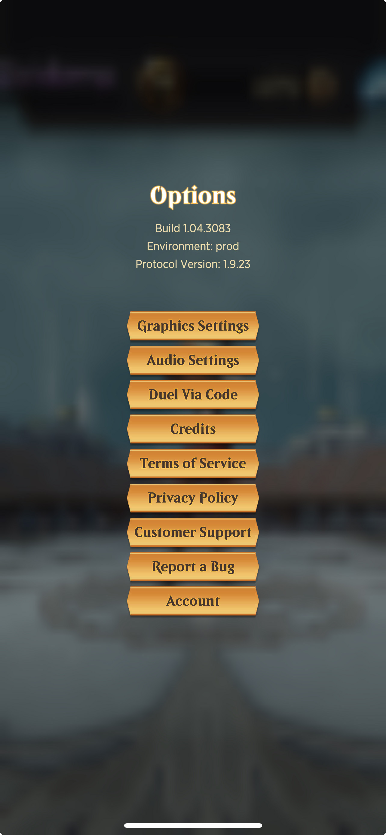 Options Menu.jpg